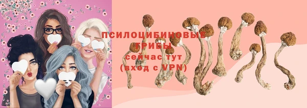бошки Баксан