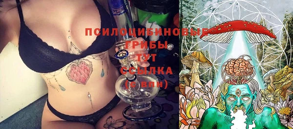 spice Балабаново