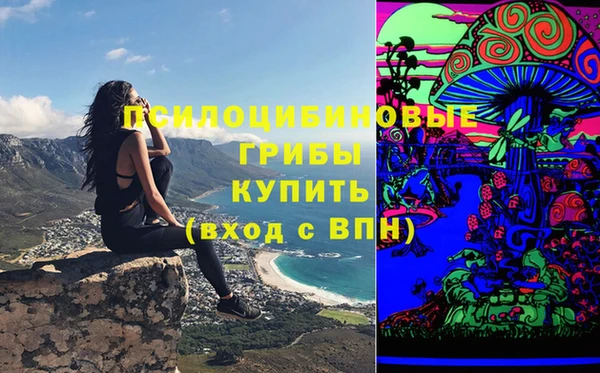 spice Балабаново