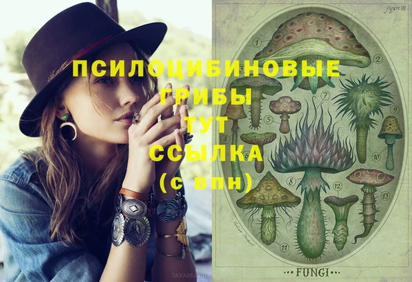 бошки Баксан