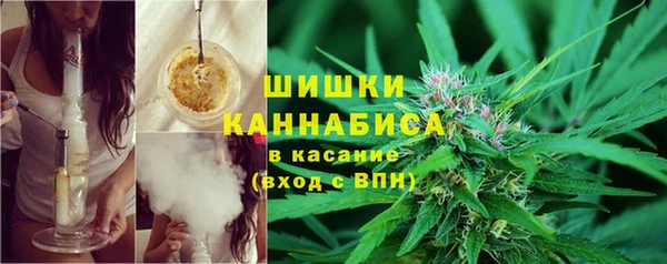 гашик Балахна