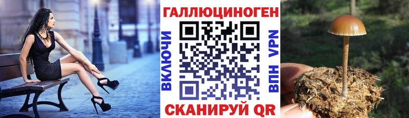 Купить закладки  Бабаево  Псилоцибиновые грибы ЛСД 